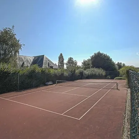 Cosy, 500m Pole International Du Cheval *