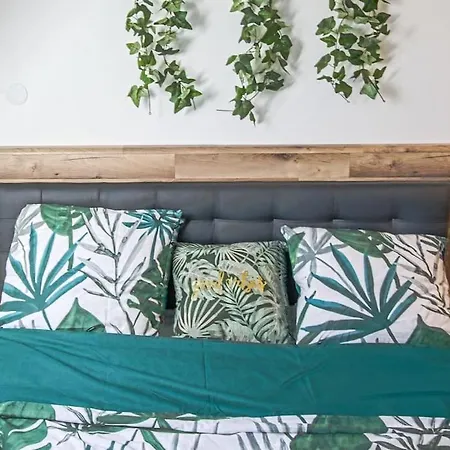 Cosy, 500m Pole International Du Cheval