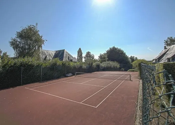 Cosy, 500m Pole International Du Cheval *