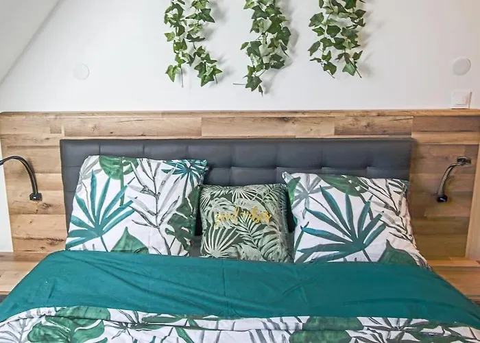 Cosy, 500m Pole International Du Cheval